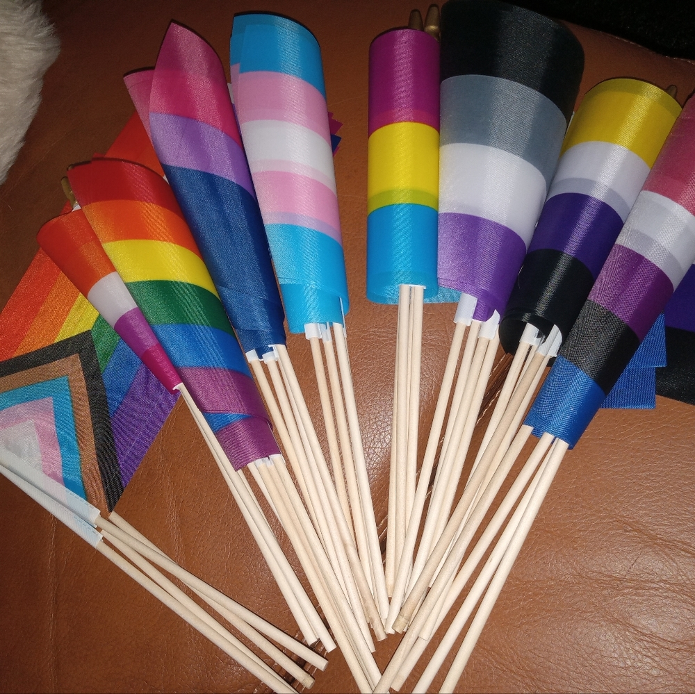 LGBTQ+ MINI PRIDE FLAGS / Free item w/ bundle